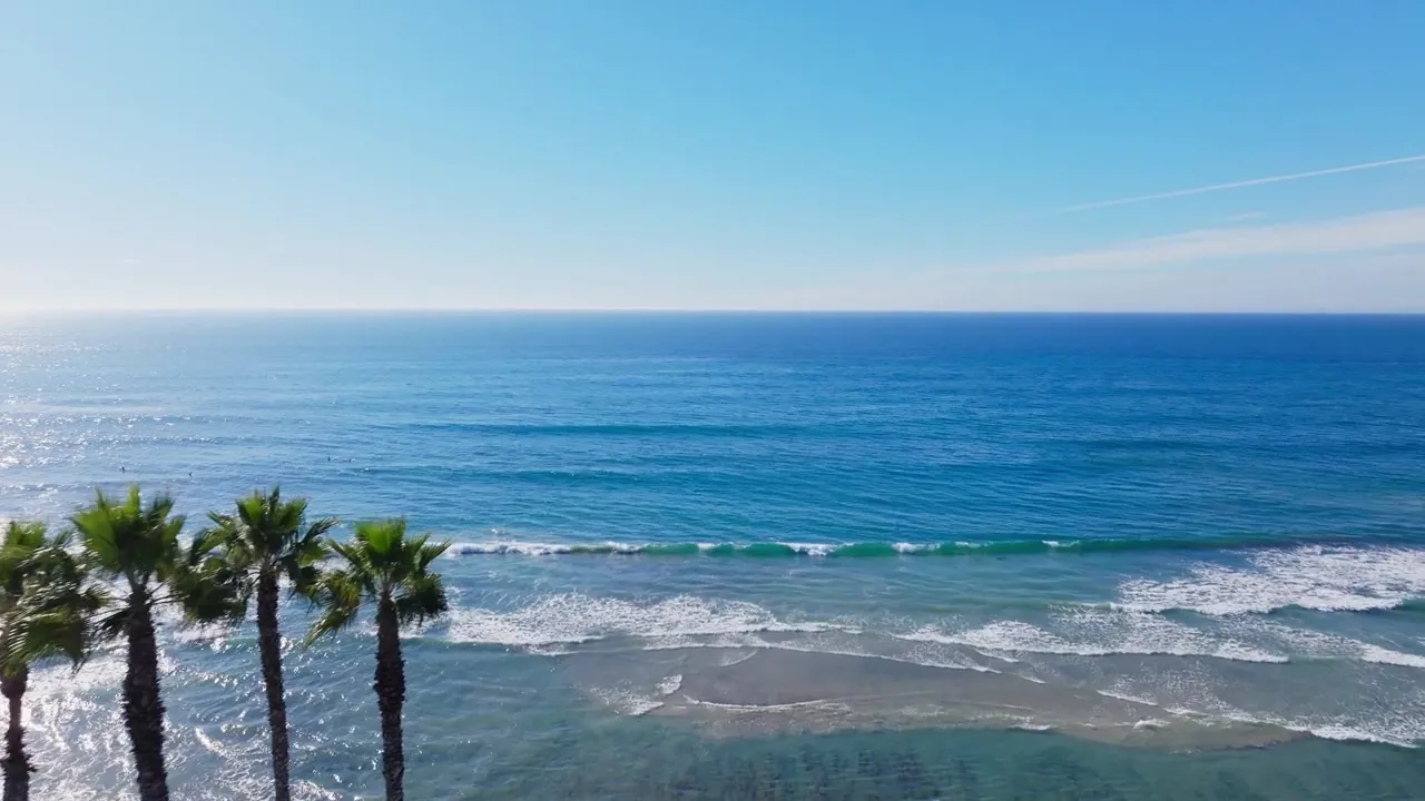 San Diego coastline with palm trees
