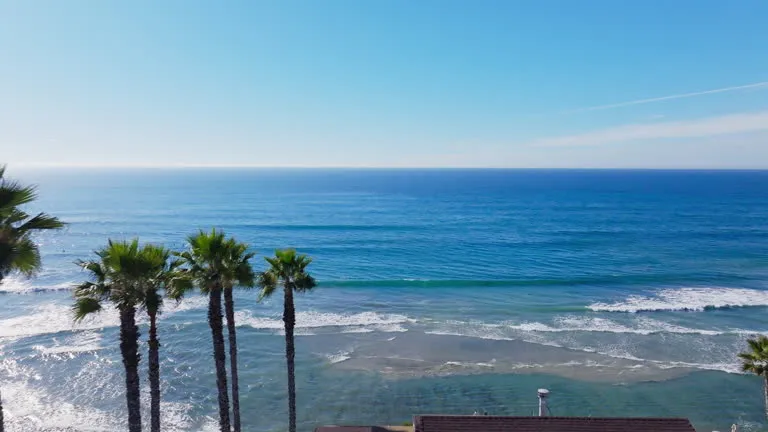 HVAC technician servicing equipment